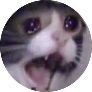 werid_ass_cat avatar