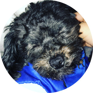 shooting_galaxy4_u avatar