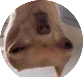 funnygirl_haha avatar