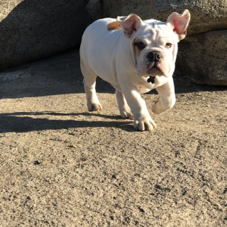 when_a_real_man_cries avatar