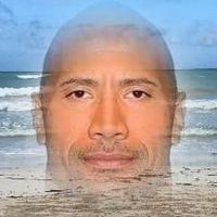 TheRockMemes avatar