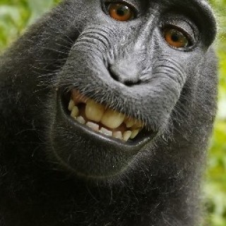 aresquellovero avatar