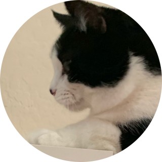 youvclearsoul avatar