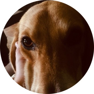 mollyjonyner201o avatar