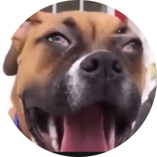 broomsweepsweep avatar