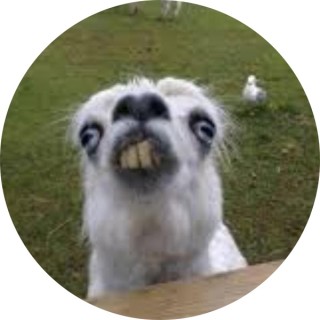 notfunnycontent avatar