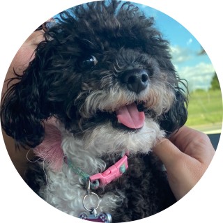 addison_harris avatar