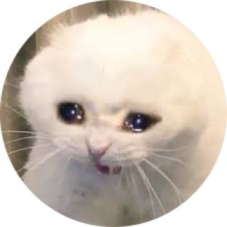 M1necraft_p1ayer avatar