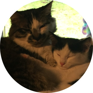 roseabell8910 avatar