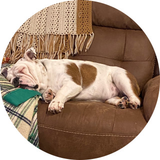 ayyyyyymemegod avatar