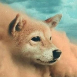 ImJustTyppicalGeorgian avatar