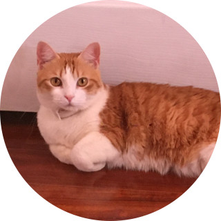 lundinandcats23 avatar