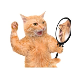 why_are_you_gay1 avatar