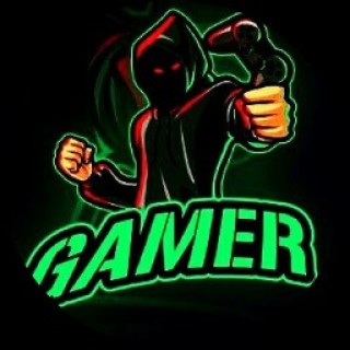 the_gamer0000 avatar