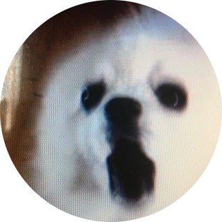 Gabe_The_Dead_Meme avatar