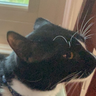 uh_oh_stinky7 avatar