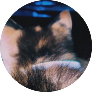 when_you_cant avatar