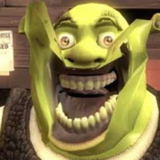 Shrek.cheeze avatar