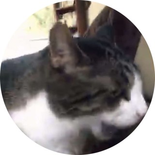 memequeen696908 avatar