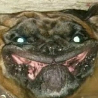 ramen_kuuuuuuun avatar