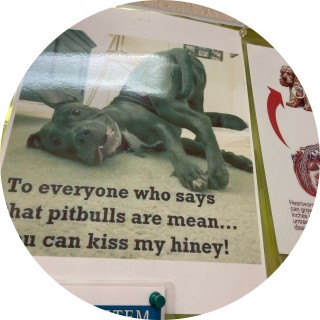 TaZe_Boomer_ttv avatar