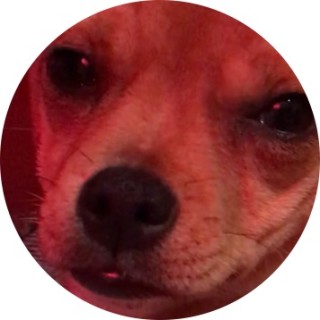 MEMES_4_LIFE321 avatar