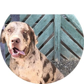 baselhossnyyt avatar