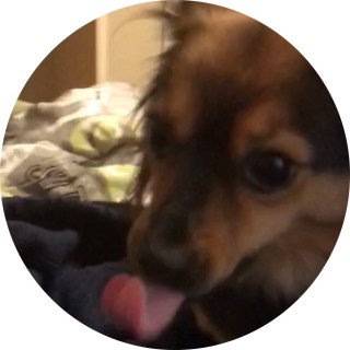 ShiloMakesMemes avatar