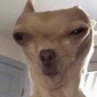 responsiblepigeon avatar