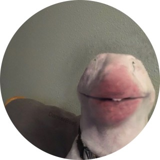 franklinsmemes avatar