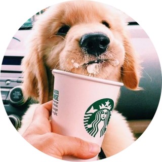 stitchhorse1234 avatar