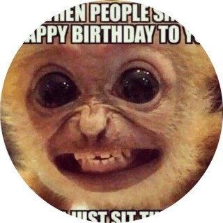 what_do_you_meme12 avatar