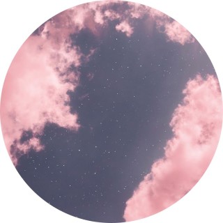 chickennuggetchild avatar