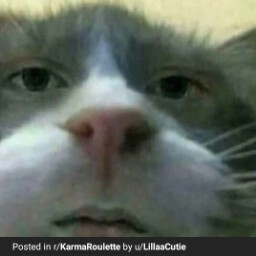 biggusdickus4757 avatar