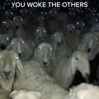 ldonthaveaname avatar