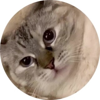 pokemon_expert_wowness avatar