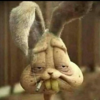 Monsieur_AMMAR avatar