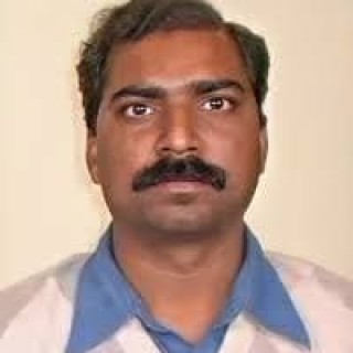 reggeashark321 avatar