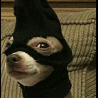 JustNormal0097 avatar