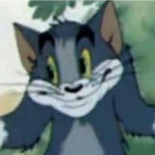 Tom_and_Jerry_memez avatar
