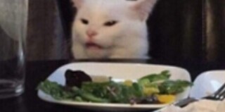 want2besick