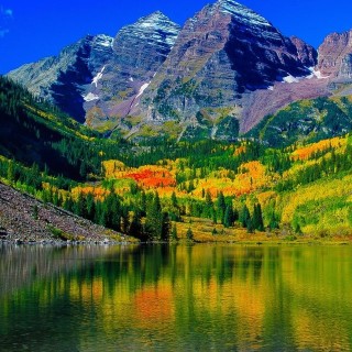 JakeTheSnake117 avatar