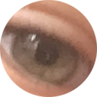 b_e_l_l_a_m_e_m_e avatar