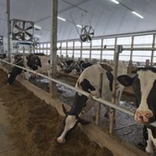 willzwier2000 avatar