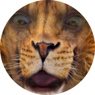 dont_look_at_my_memes avatar