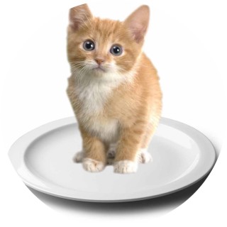 i_eat_cats avatar