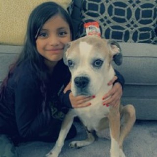 pinkyBrambila avatar