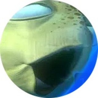 wegotatwentythreeninteen avatar