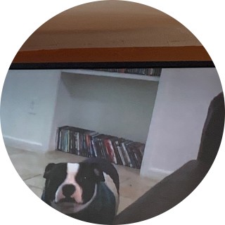 sir.Memesalot avatar