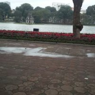 vanngocnguyen46 avatar